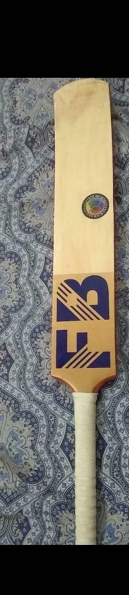 cricket bat 2