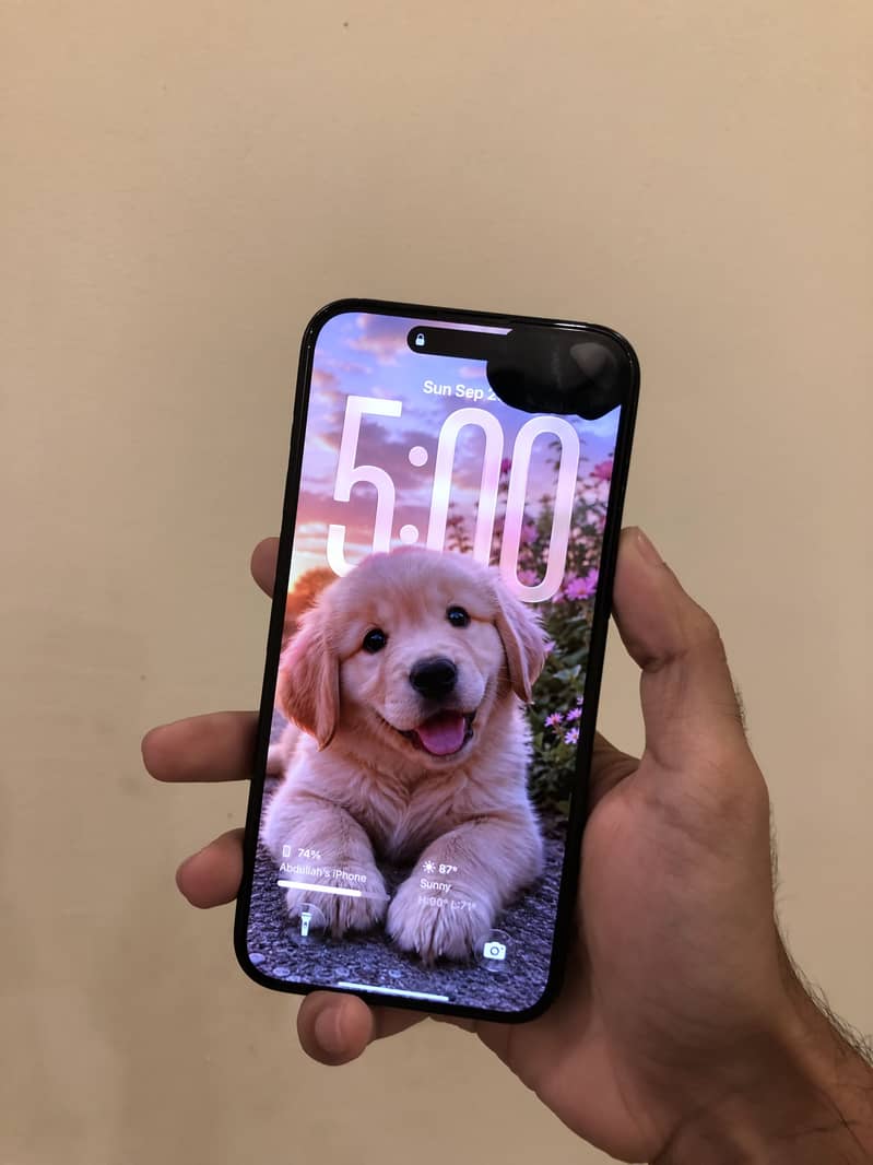 Apple iPhone 15 Pro Max 1