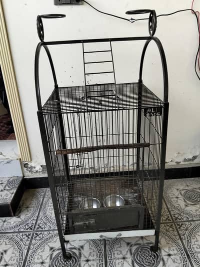 Raw Parrot mazboot cage
