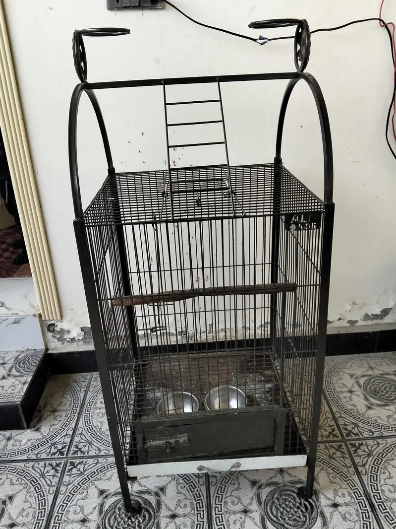 Raw Parrot mazboot cage