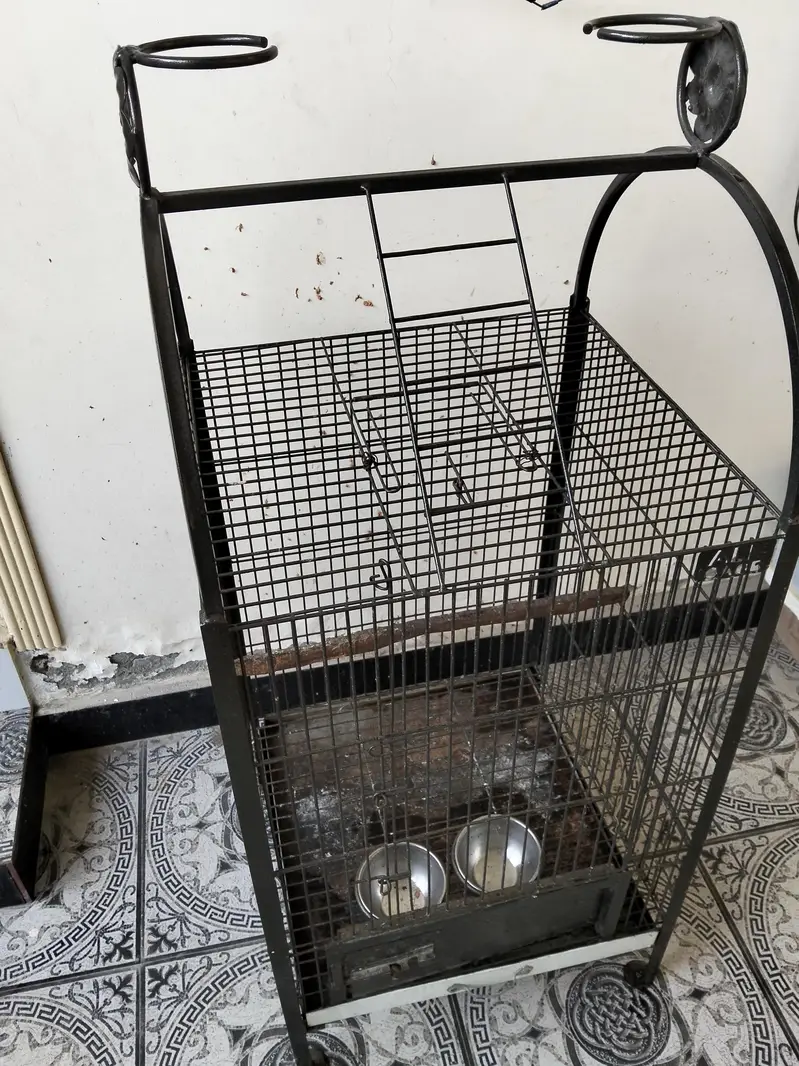Raw Parrot mazboot cage — photo 3