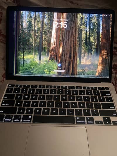 MacBook core i5 2020 16 gb ram 512 gb storage
