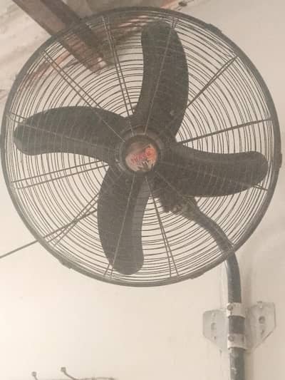 fan for sale