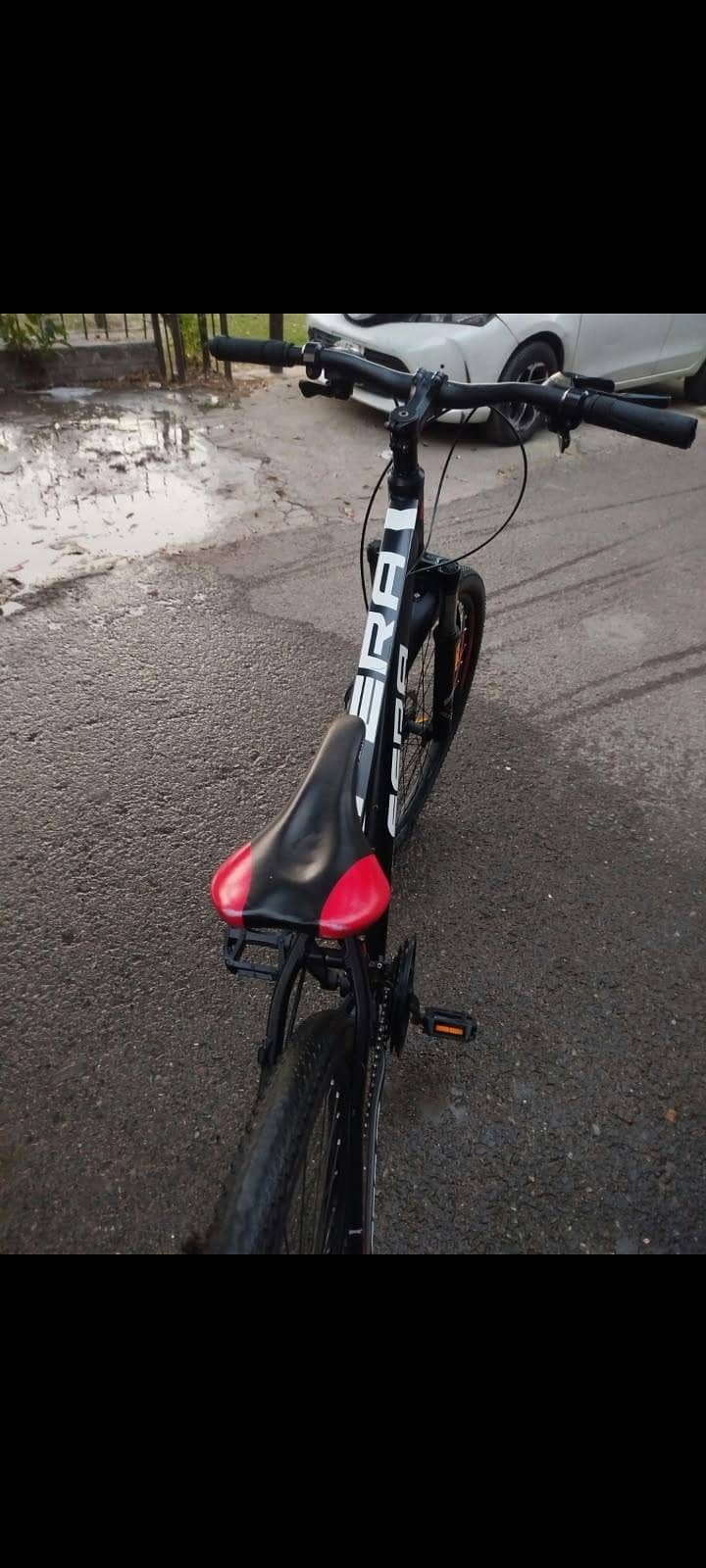 imported cycle FERA MTB 1