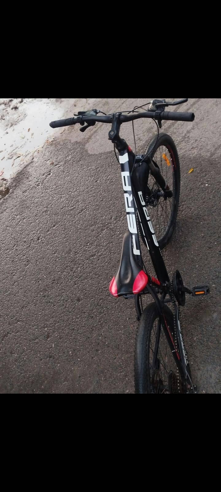 imported cycle FERA MTB 7
