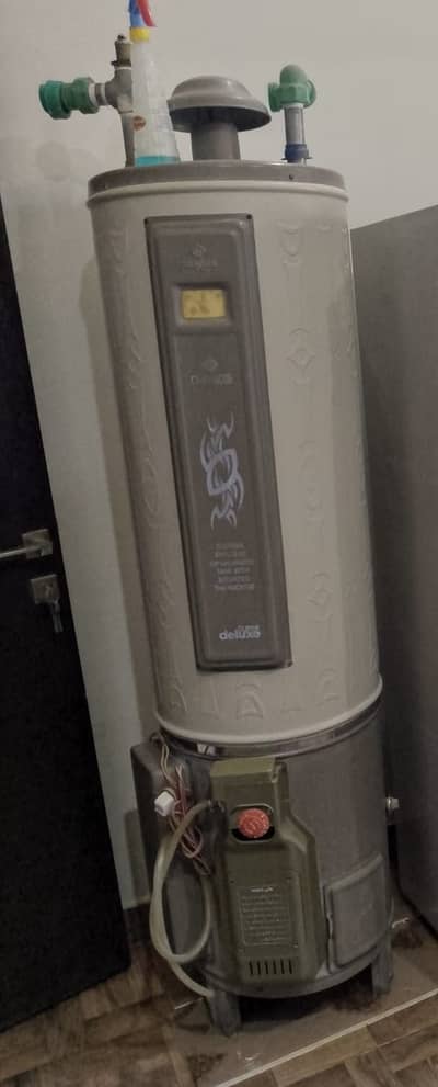 Nasgas Geyser For sale