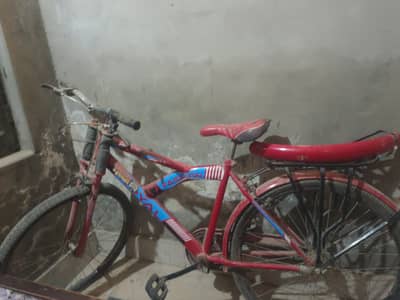 CYCLE