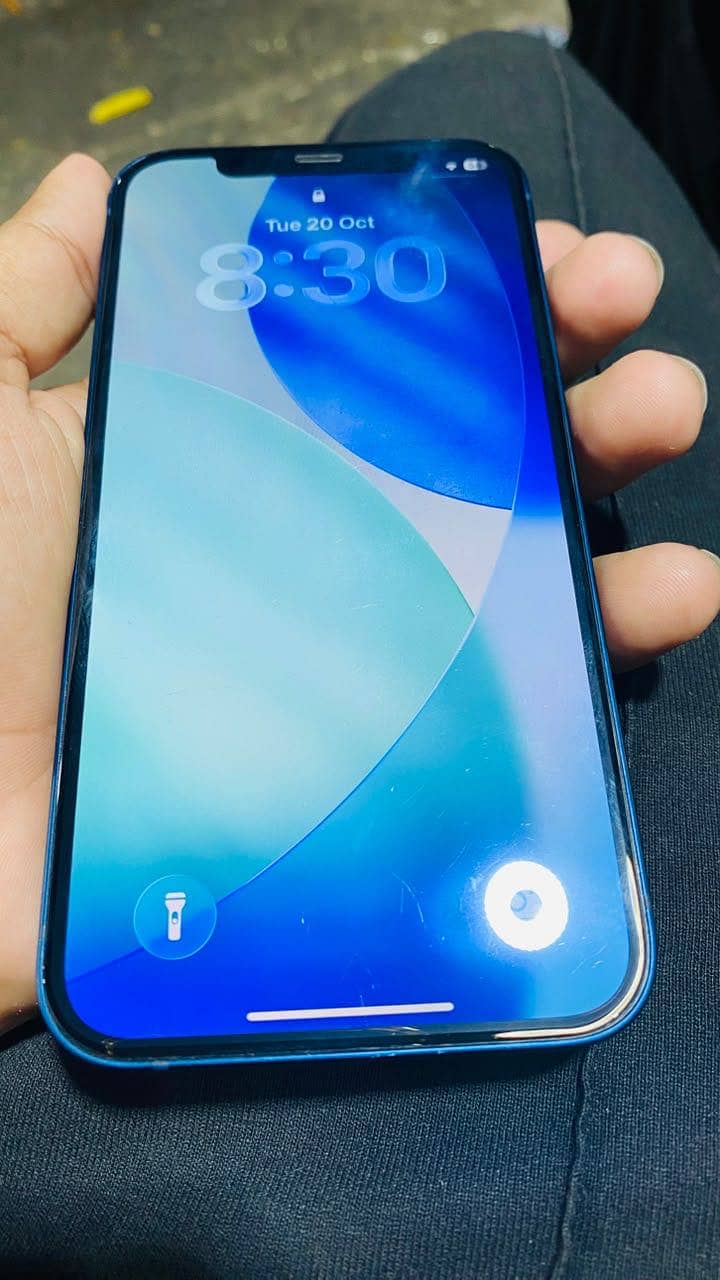 Apple iPhone 12 0