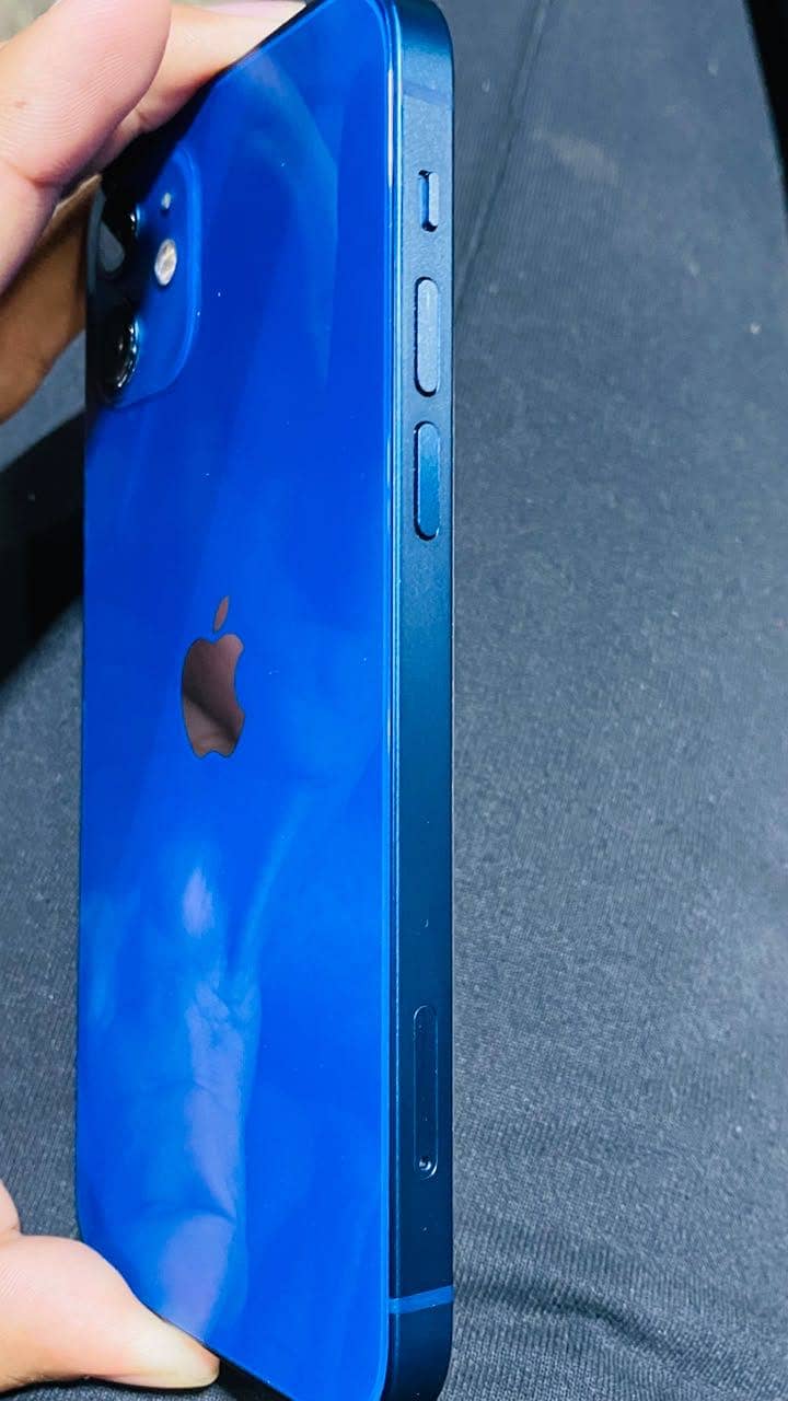 Apple iPhone 12 1