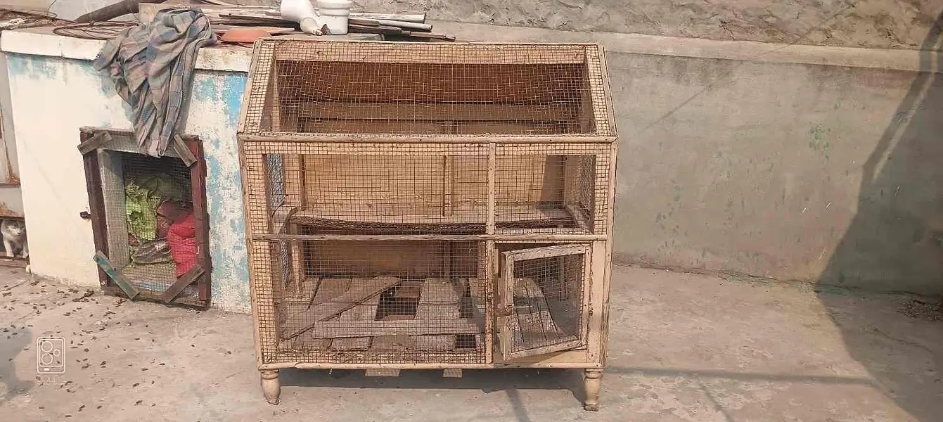 cages for sell / iron and wooden — photo 5