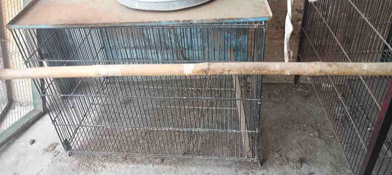 cages for sell / iron and wooden — photo 9