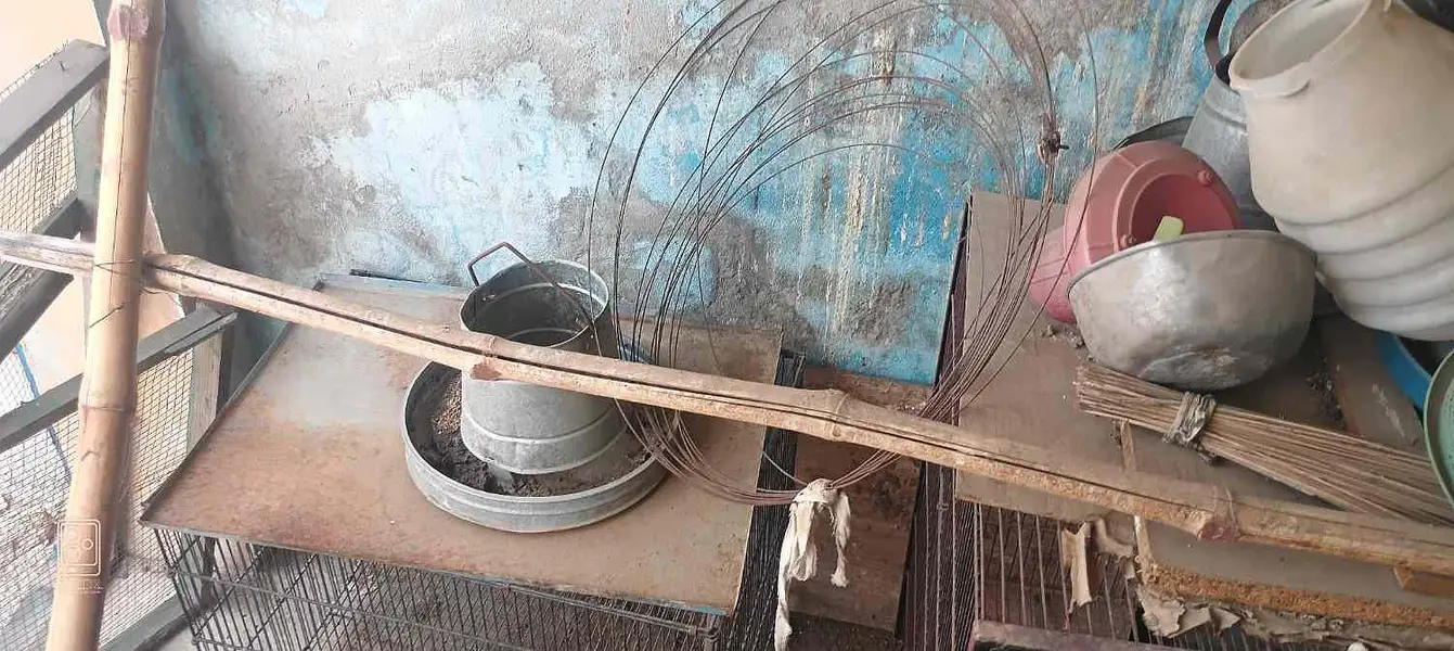 cages for sell / iron and wooden — photo 11