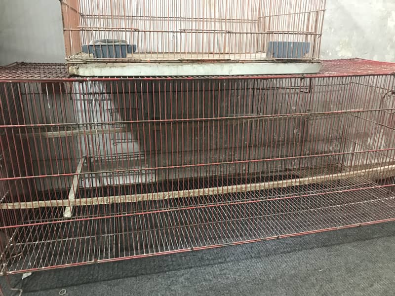 2 cages 1