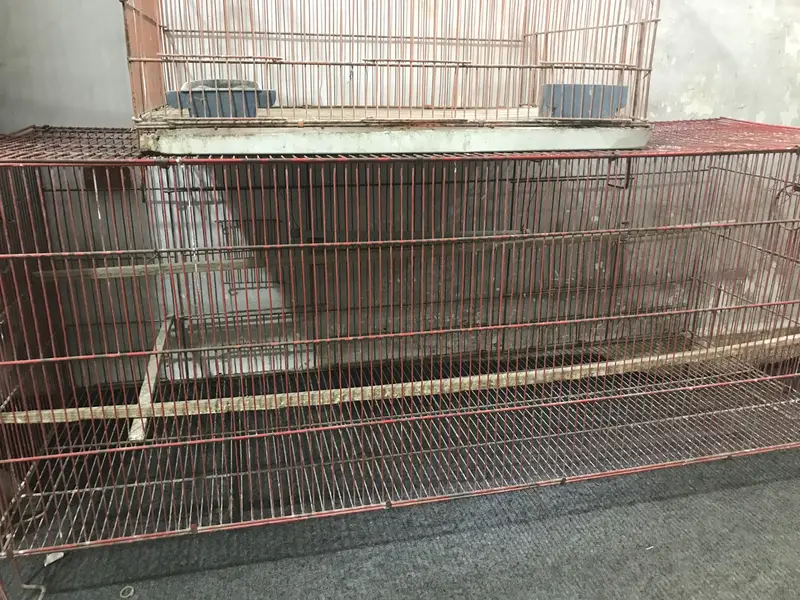 2 cages — photo 2