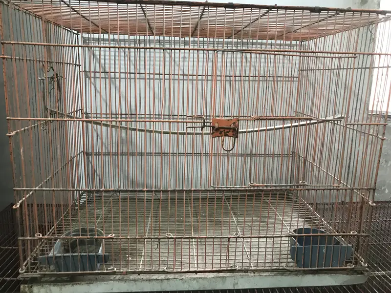 2 cages — photo 3