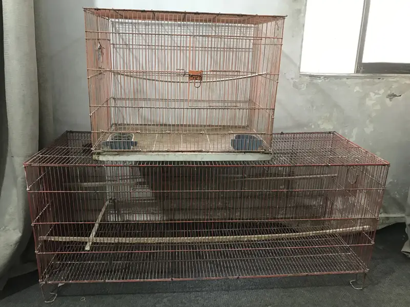 2 cages — photo 4