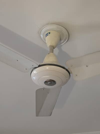 Used ceiling fans Royal Fans and Pak Fans