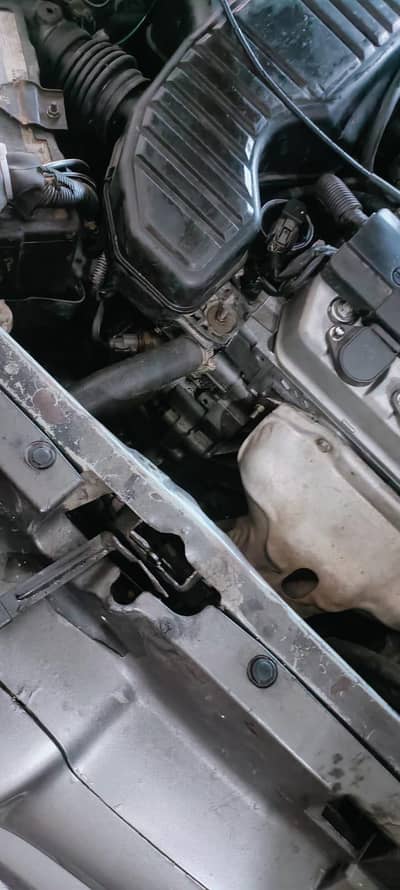 Honda Civic Prosmetic 2005