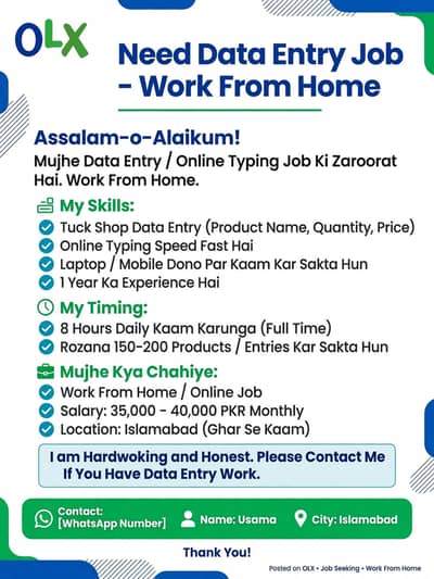Need Data Entry Job - Work From Home - Islamabad - 35k Salary