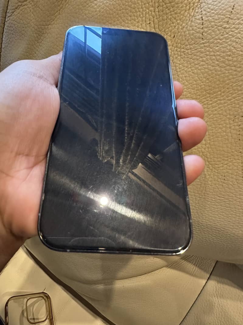 Apple iPhone 13 Pro Max 1