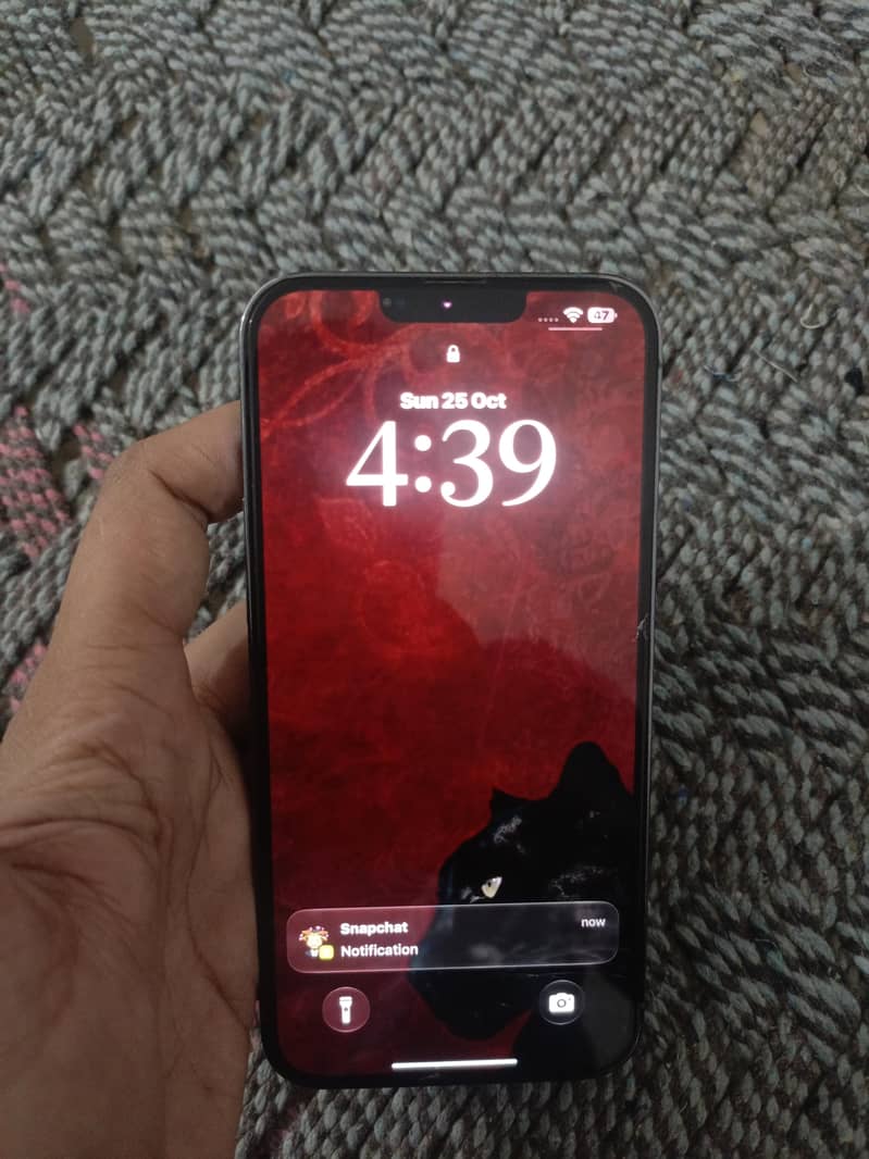 Apple iPhone 13 Pro Max 5