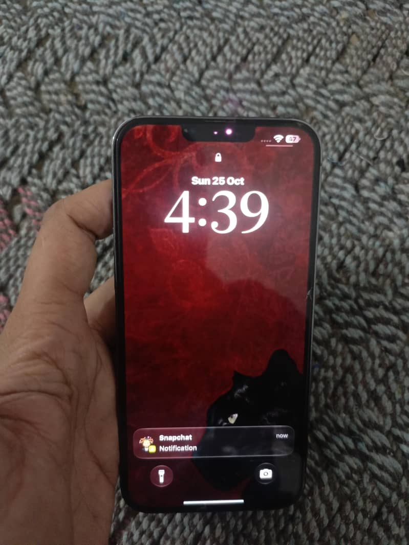 Apple iPhone 13 Pro Max 6