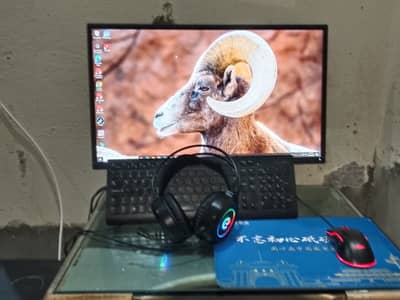 Complete Budget Gaming Setup | i7 7th Gen | Nvidia Quadro 2GB | 24" De