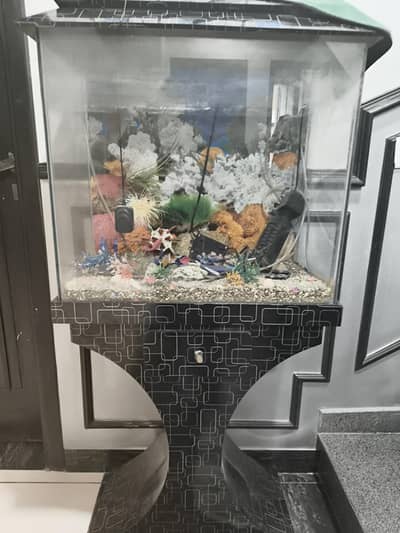 Feet Glass Fish Tank / Aquarium Setup (Filter & Decor Included)