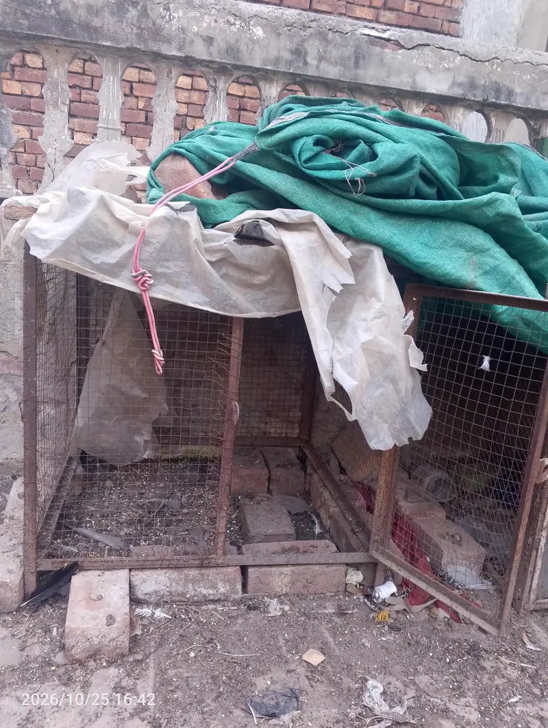 cage for sale — photo 2