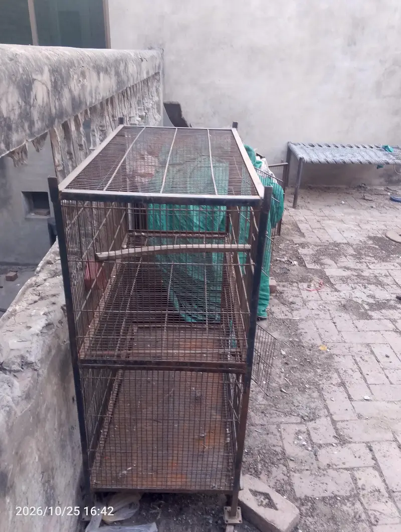 cage for sale — photo 3