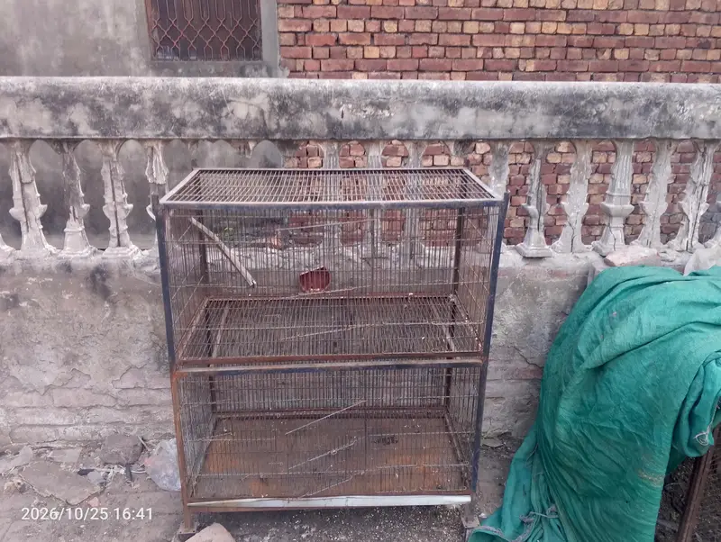 cage for sale — photo 4