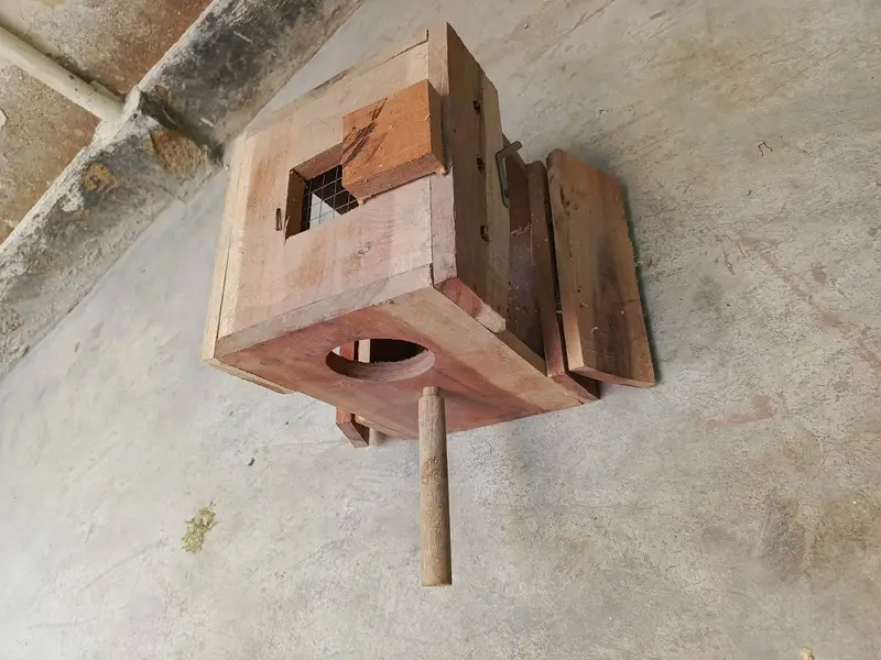 URGENT Sale -Ringneck, Lovebird, Cages, 20 Wooden Boxes wd FREE Bartan — photo 8