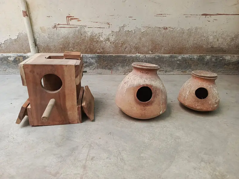 URGENT Sale -Ringneck, Lovebird, Cages, 20 Wooden Boxes wd FREE Bartan — photo 10
