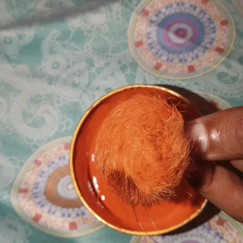 jankhol singhi