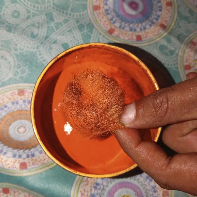 jankhol singhi — photo 2