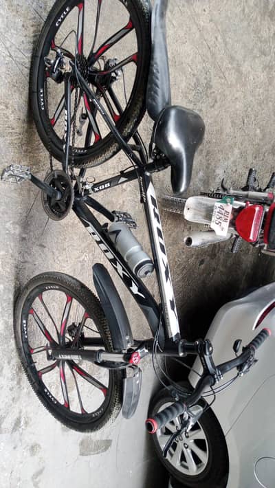 roxy cycle