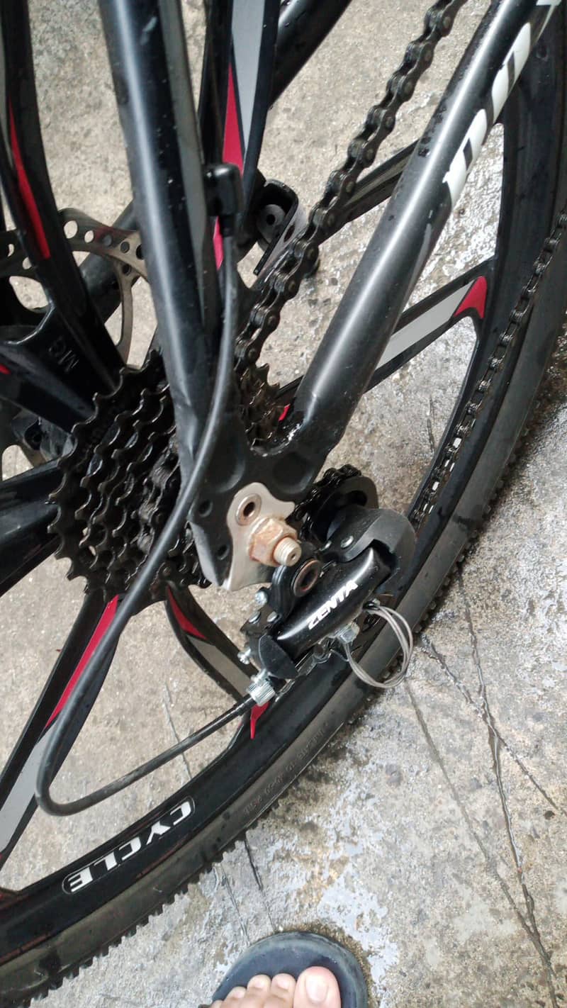 roxy cycle 1