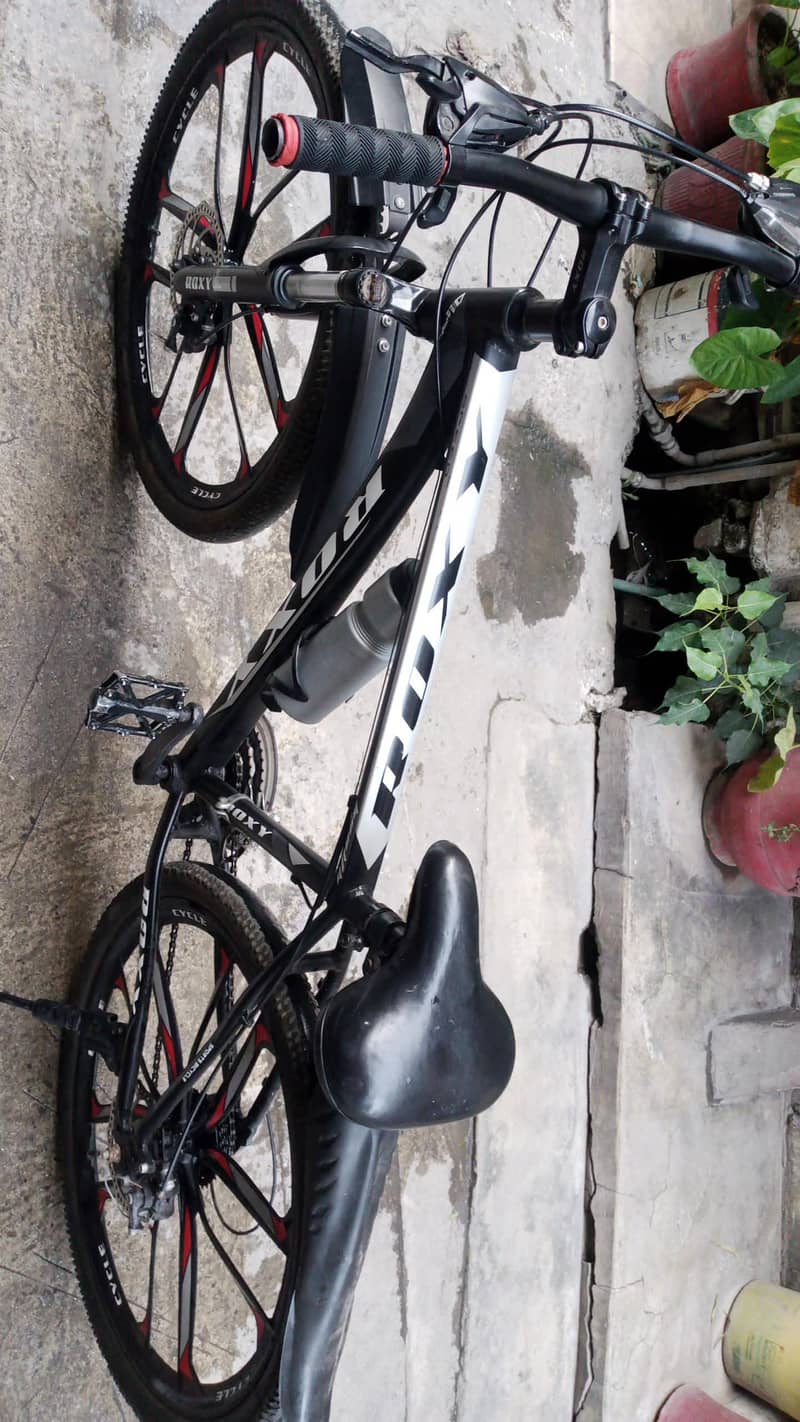 roxy cycle 3