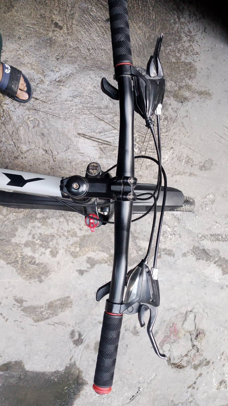 roxy cycle 4