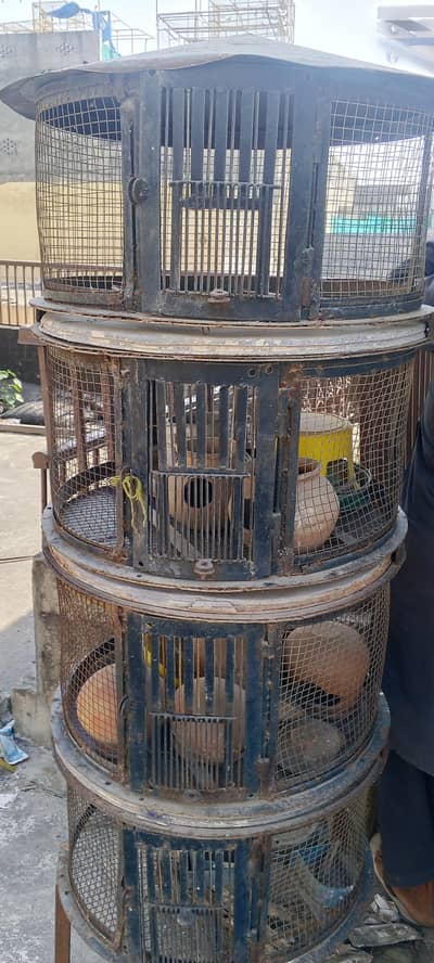 cage for sale
