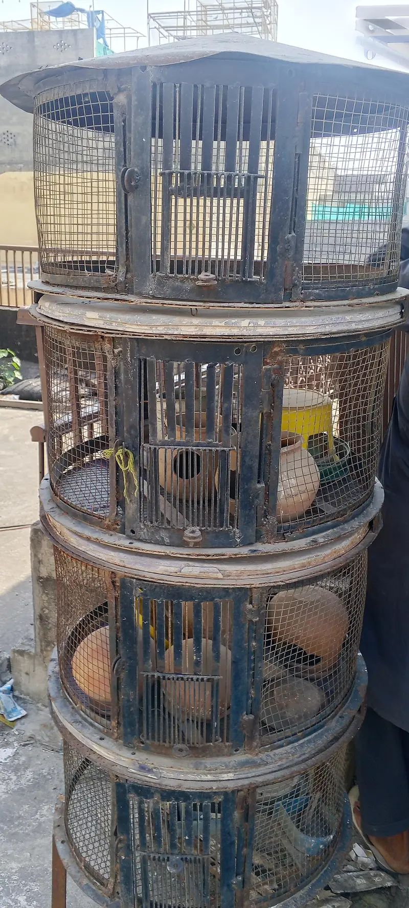 cage for sale
