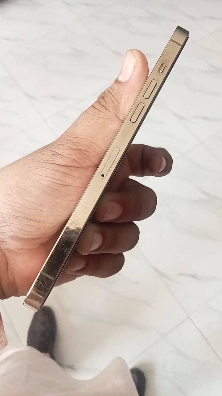 Apple iPhone 12 Pro Max 1