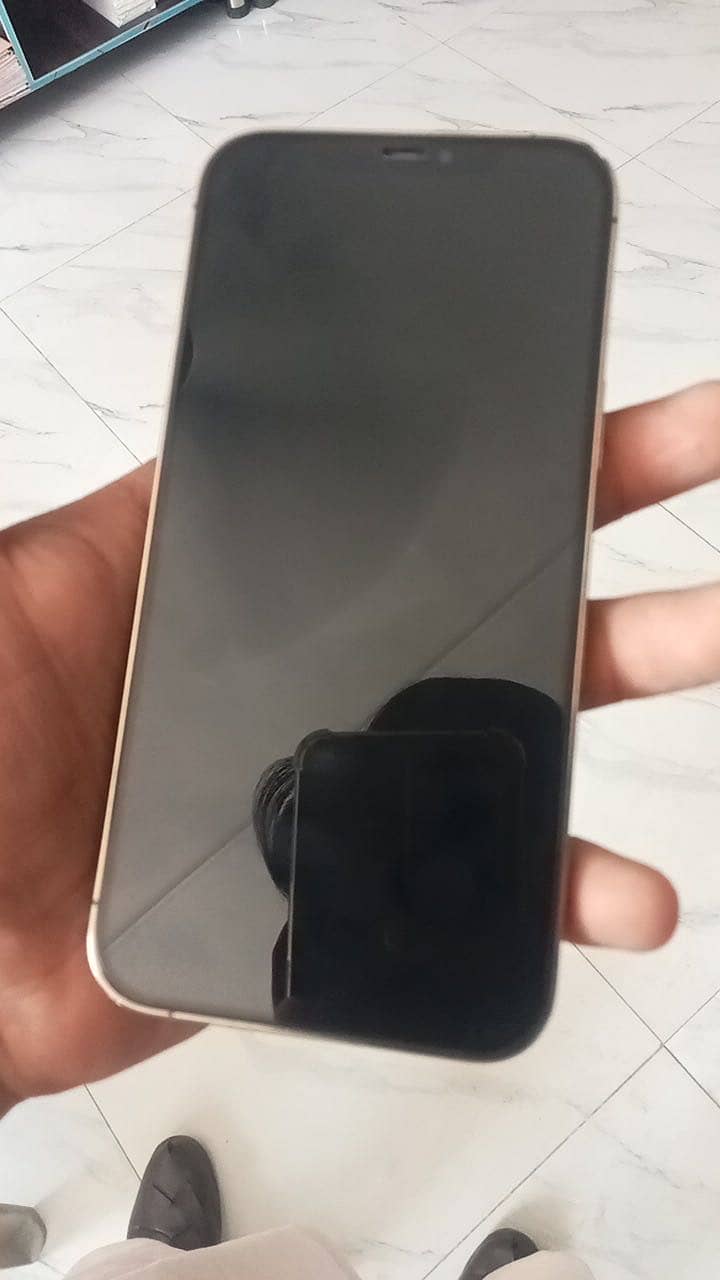 Apple iPhone 12 Pro Max 2