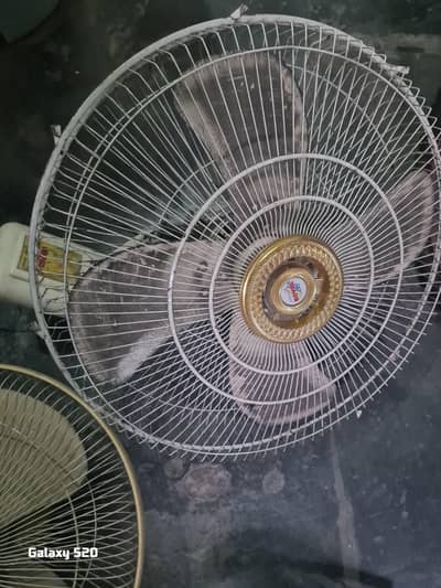 2 pak fan 1 royal fan