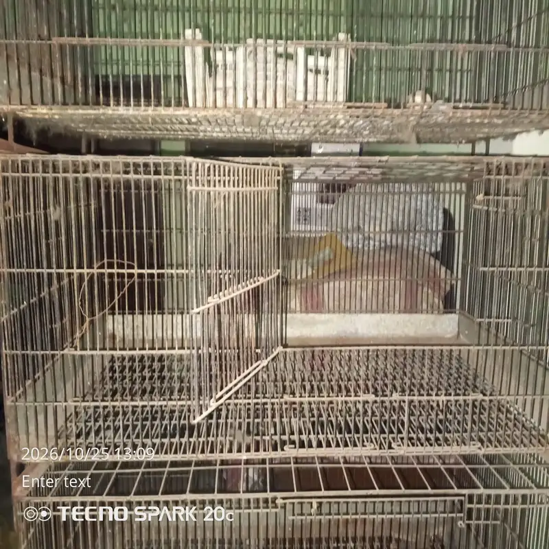 cages for rabbits or hens