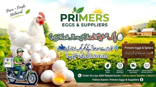 Shakir Enterprises - Fresh Eggs Wholesale"