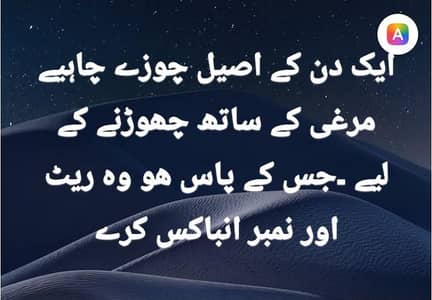 اصیل چوزے چاہیے