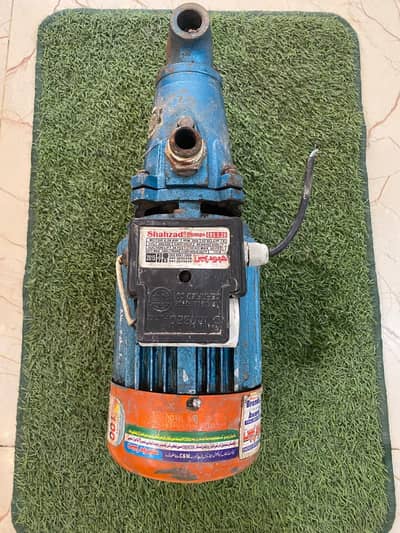 shazad worm pump on sale