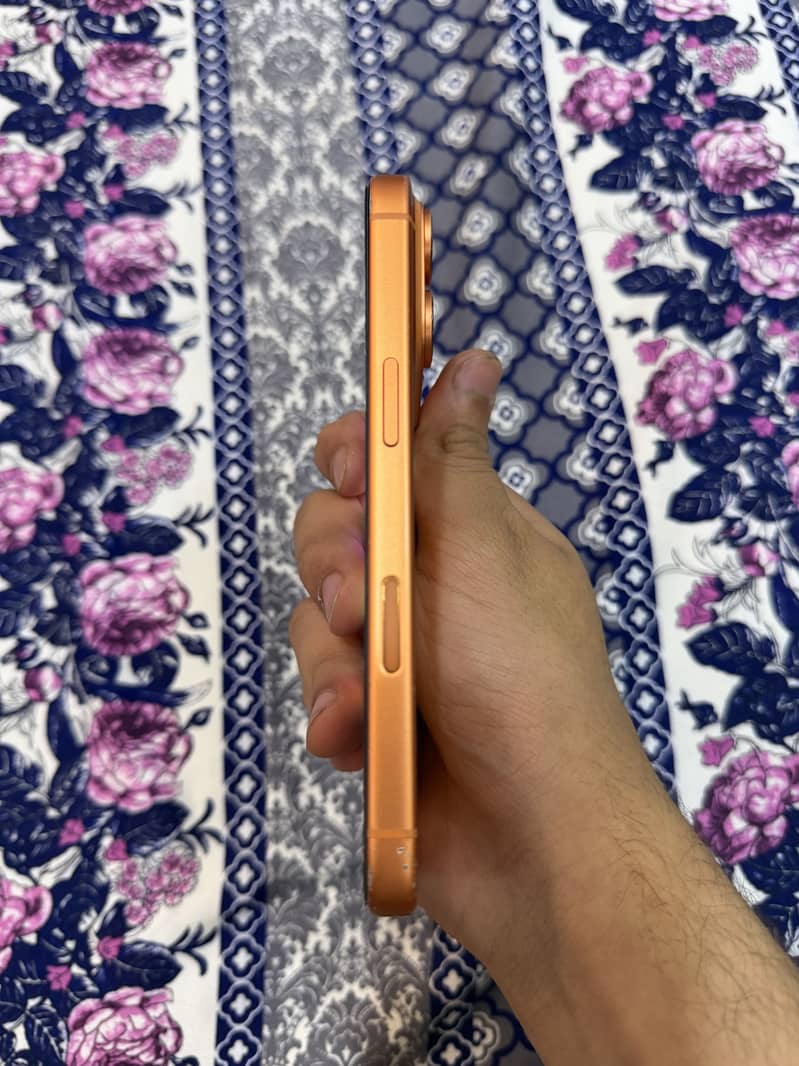 Apple iPhone 17 Pro dot in display 1