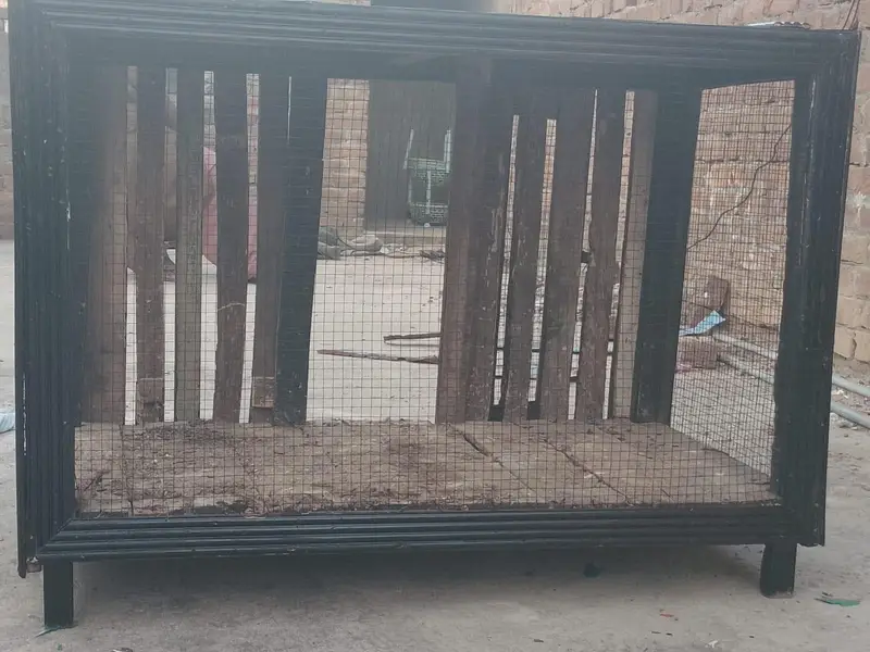 Wooden Cage — photo 3